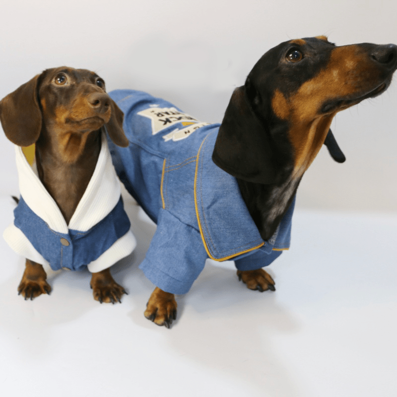 Soft Fleece Dachshund Dog Jacket