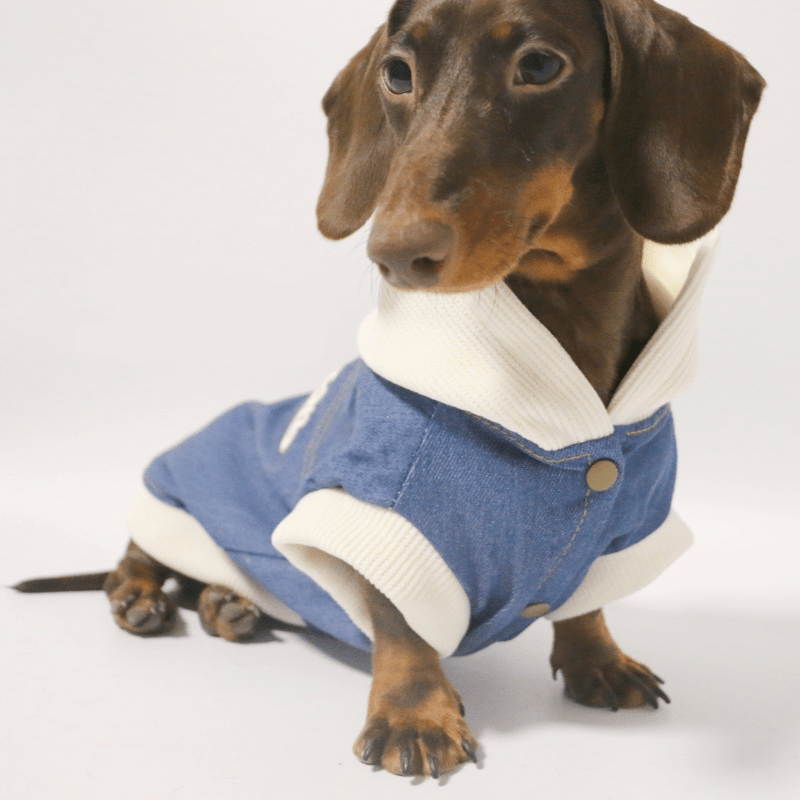 Soft Fleece Dachshund Dog Jacket