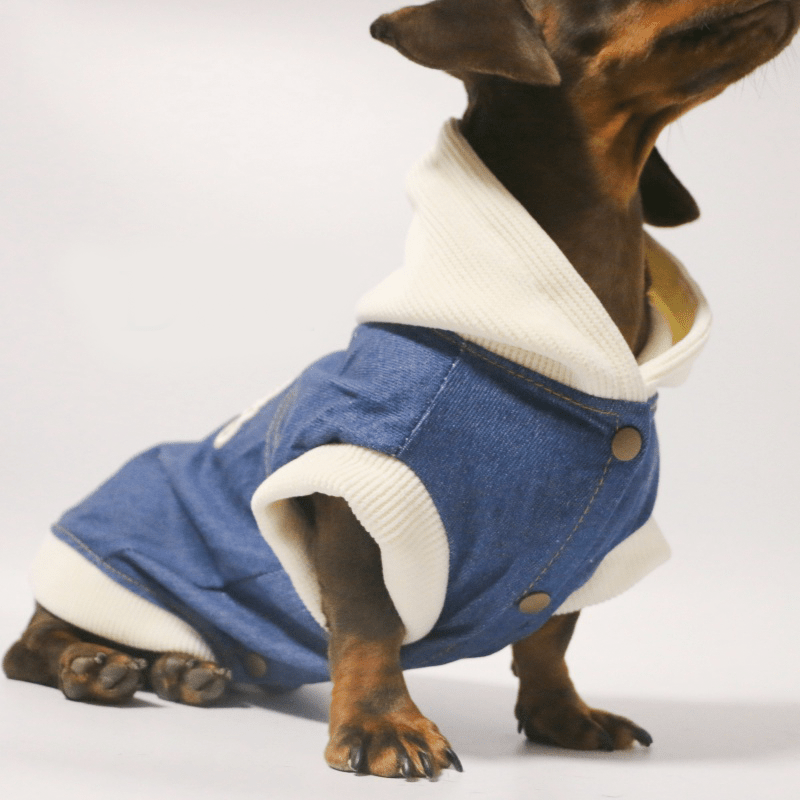 Soft Fleece Dachshund Dog Jacket