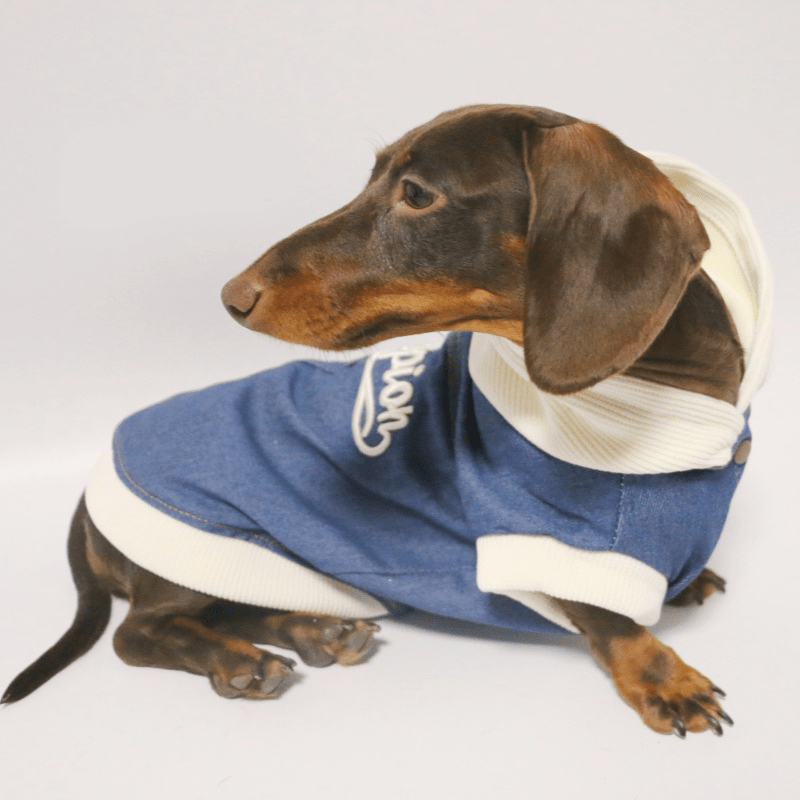 Soft Fleece Dachshund Dog Jacket