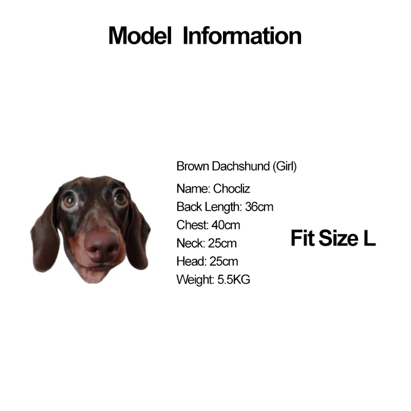 Denim Patchwork Dachshund Hoodie Jacket