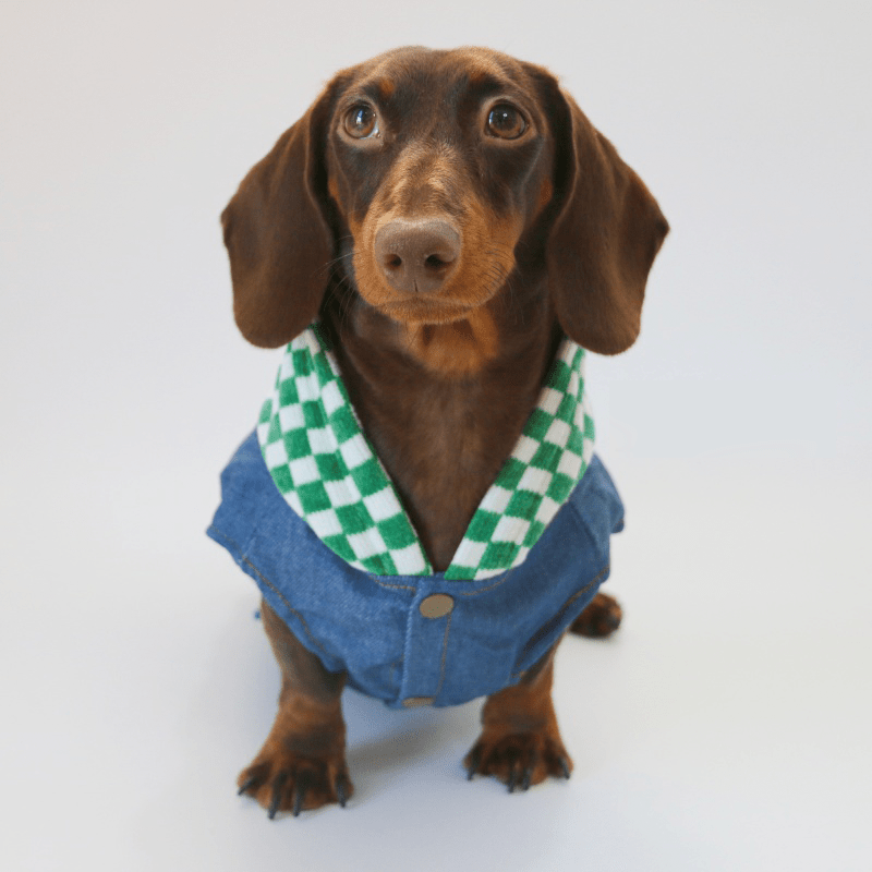 Denim Patchwork Dachshund Hoodie Jacket
