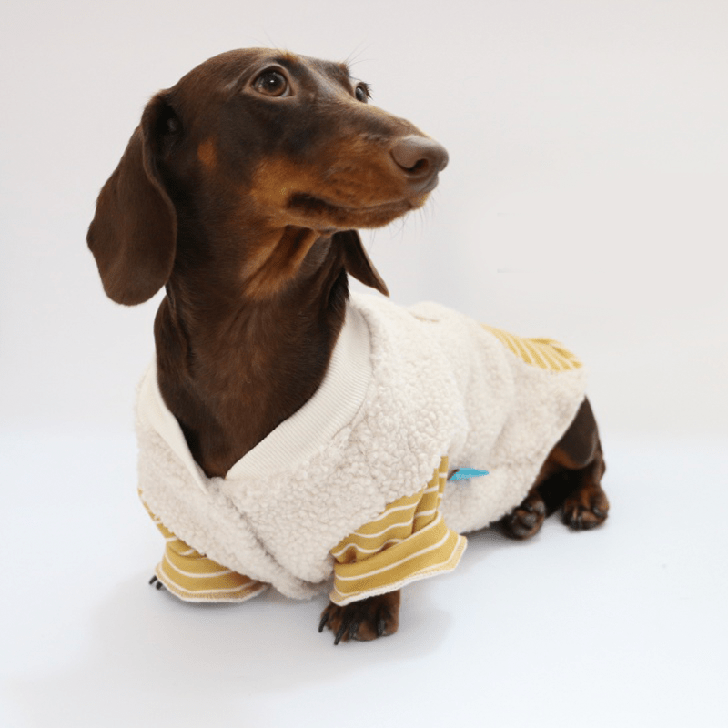 Warm Dachshund Dog Fleece Coat