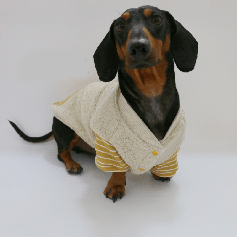 Warm Dachshund Dog Fleece Coat