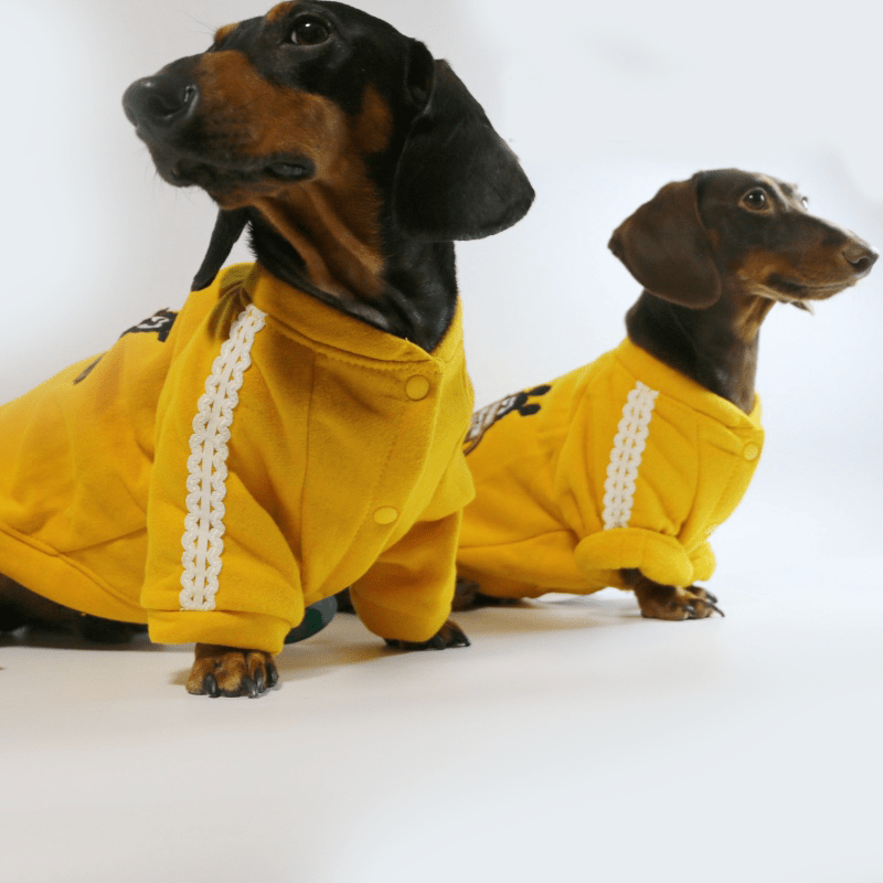 Soft Fleece Dachshund Dog Jacket