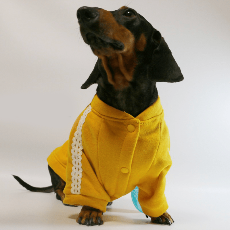 Soft Fleece Dachshund Dog Jacket