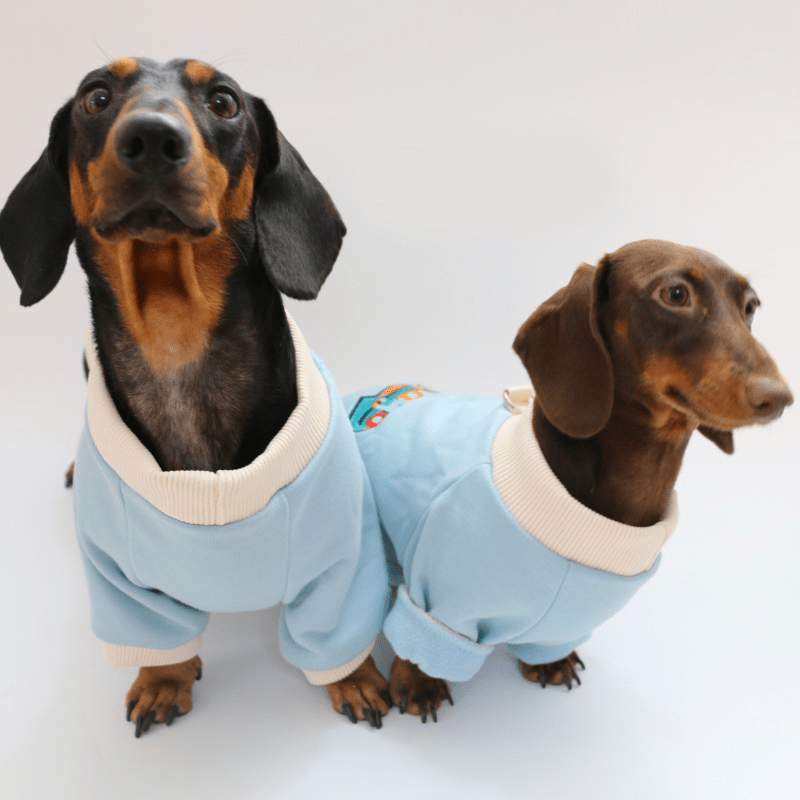 Warm Dachshund Dog Fleece Hoodie