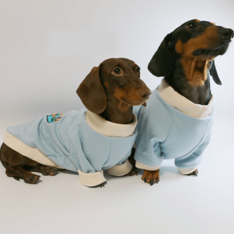 Warm Dachshund Dog Fleece Hoodie