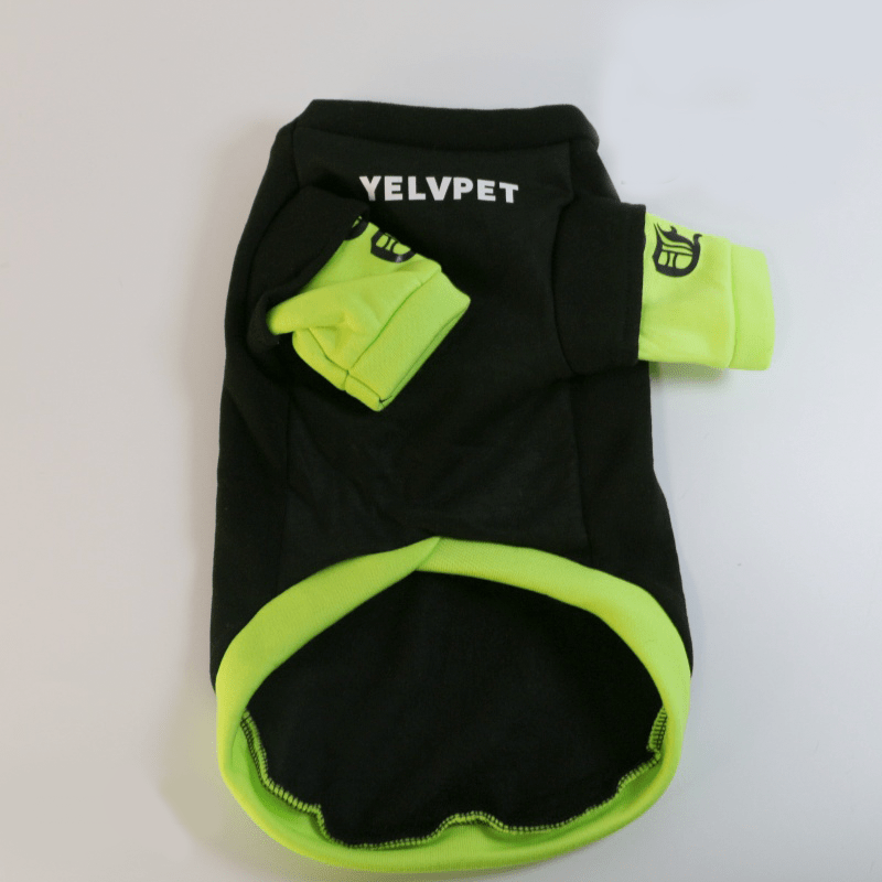 Warm Stylish Dachshund Dog Hoodie