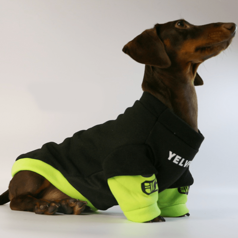 Warm Stylish Dachshund Dog Hoodie
