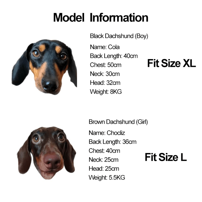 Warm Stylish Dachshund Dog Hoodie