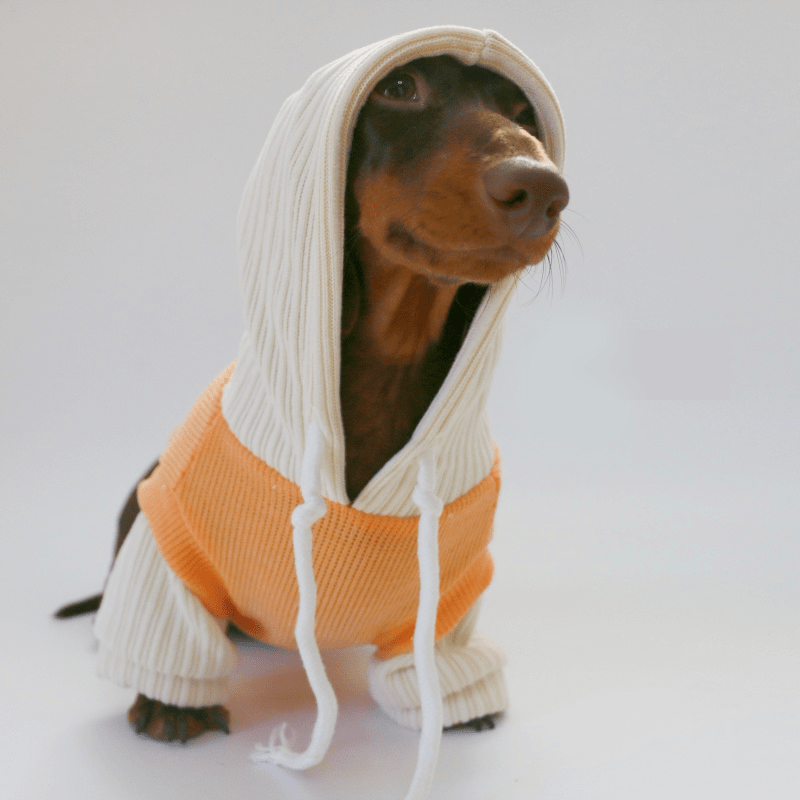 Warm Knit Dachshund Dog Hoodie