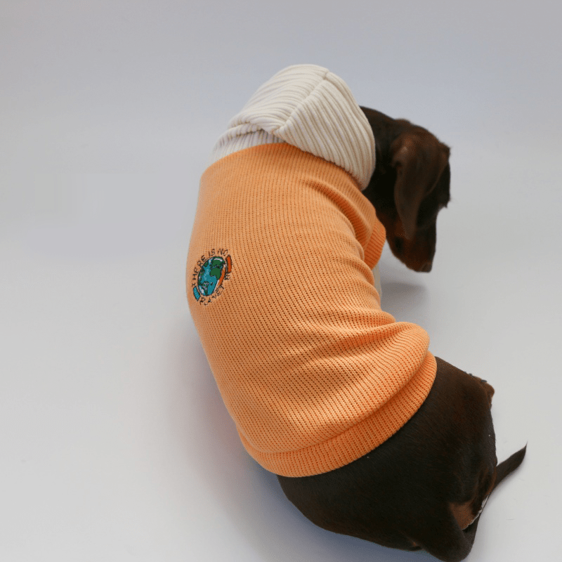 Warm Knit Dachshund Dog Hoodie