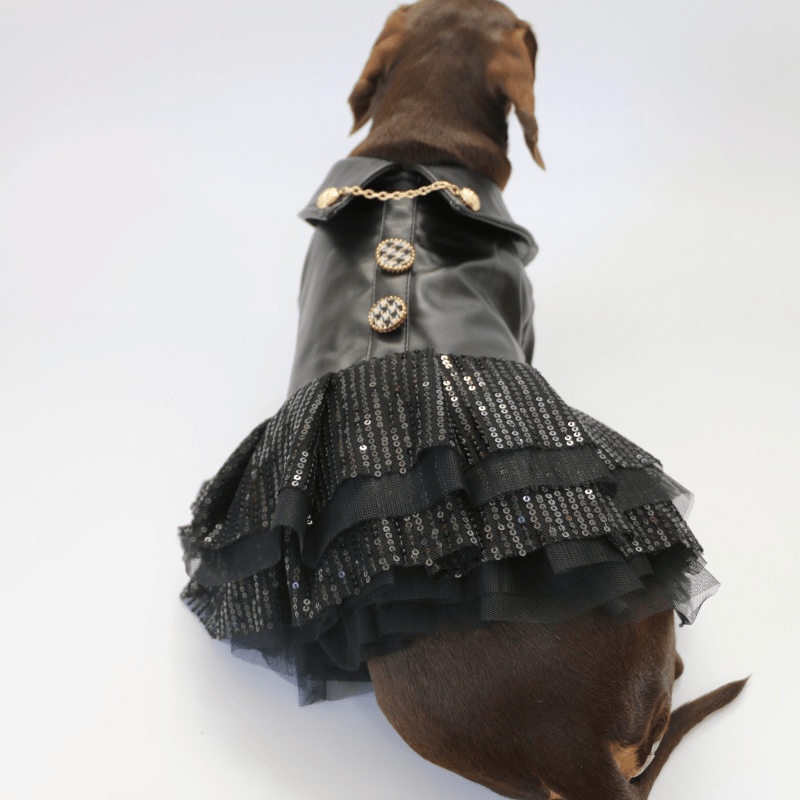Punk Leather Chiffon Small Dog Dress