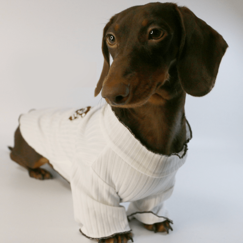 Breathable Knit Dachshund Dog Shirt