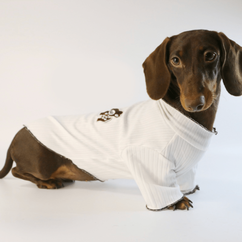 Breathable Knit Dachshund Dog Shirt
