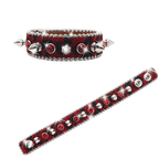 Stylish Anti Bite Dog Collar