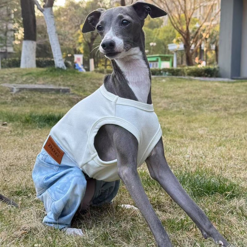 Stylish Denim Greyhound Dog Jumpsuit