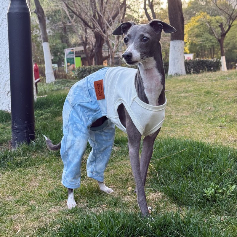Stylish Denim Greyhound Dog Jumpsuit