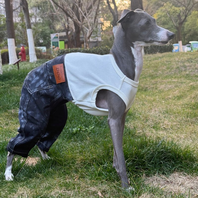 Stylish Denim Greyhound Dog Jumpsuit