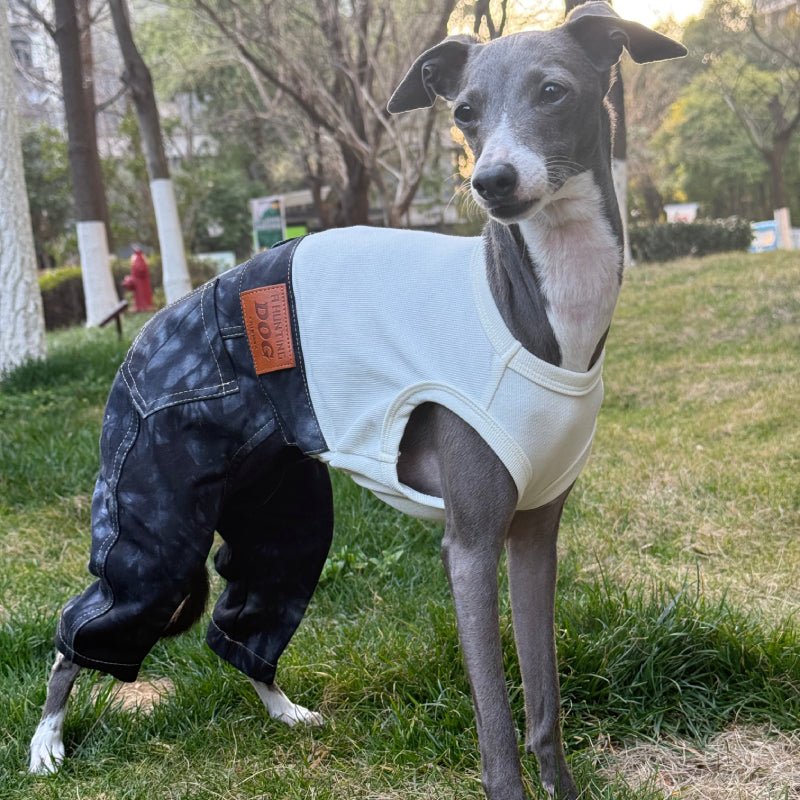 Stylish Denim Greyhound Dog Jumpsuit