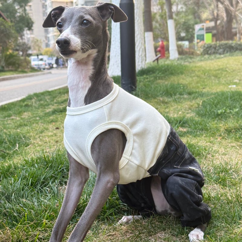 Stylish Denim Greyhound Dog Jumpsuit