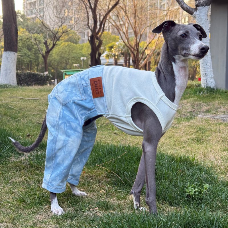 Stylish Denim Greyhound Dog Jumpsuit