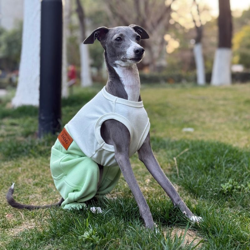 Stylish Denim Greyhound Dog Jumpsuit