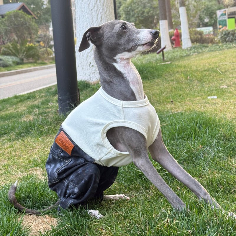Stylish Denim Greyhound Dog Jumpsuit