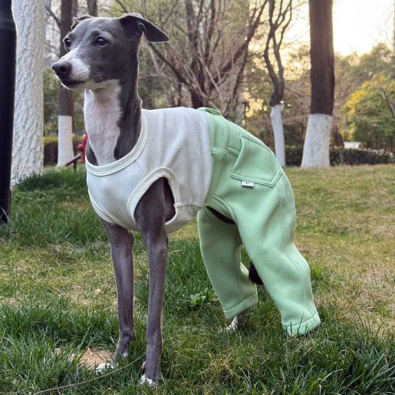 Stylish Denim Greyhound Dog Jumpsuit