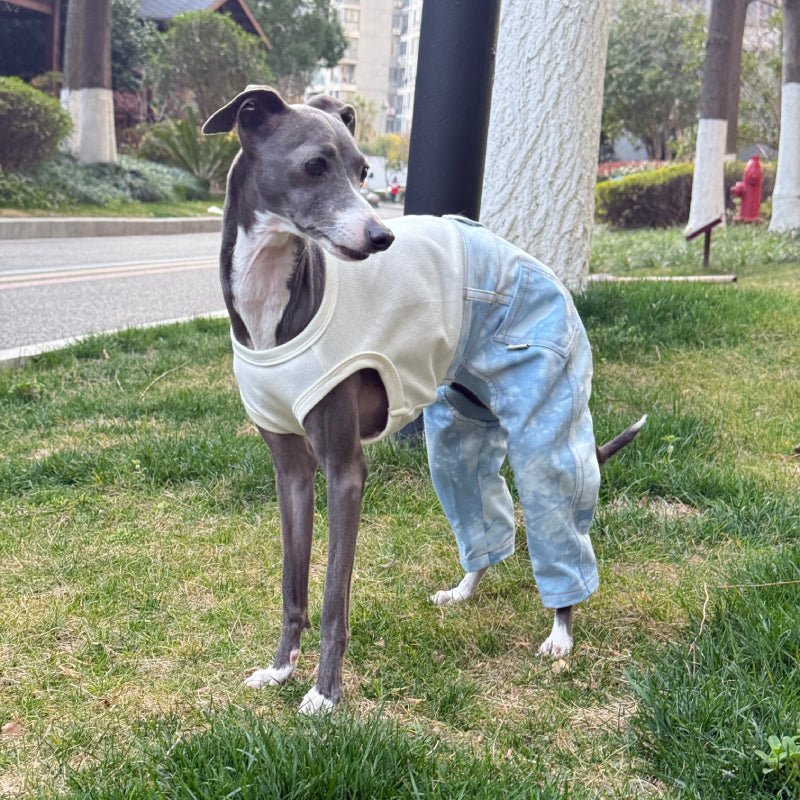 Stylish Denim Greyhound Dog Jumpsuit