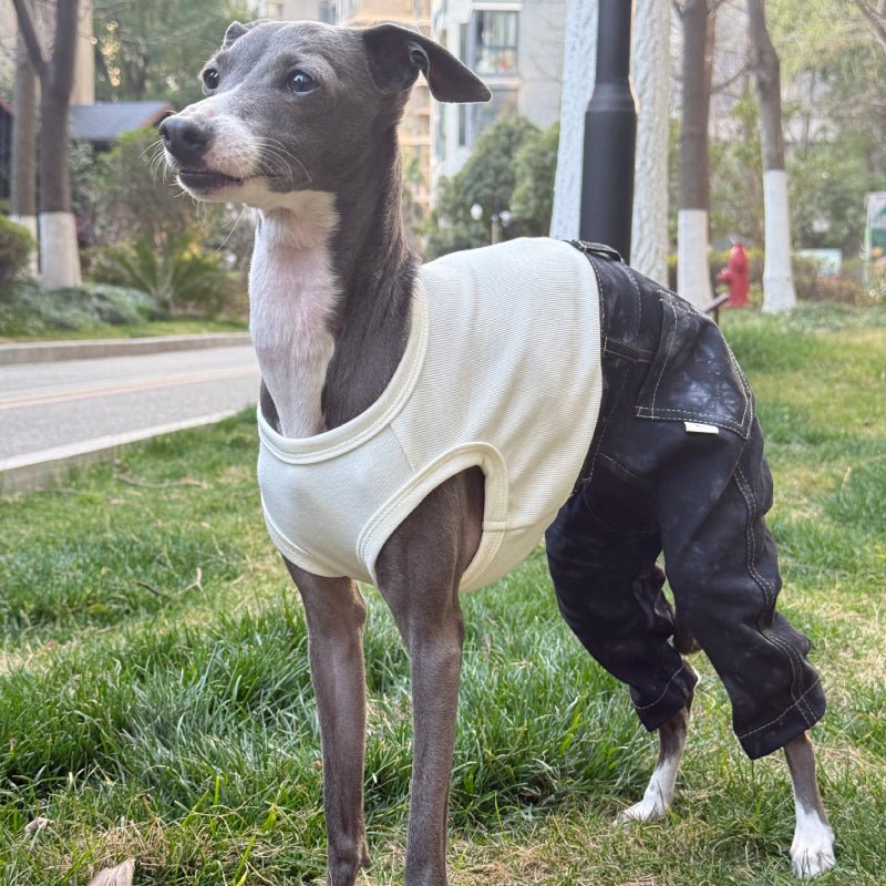 Stylish Denim Greyhound Dog Jumpsuit