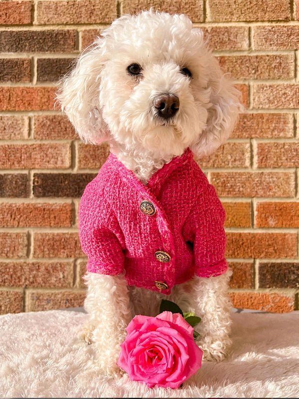 Warm Stylish Dog Winter Jacket