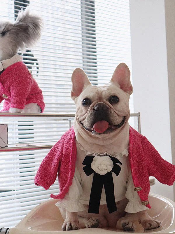 Warm Stylish Dog Winter Jacket