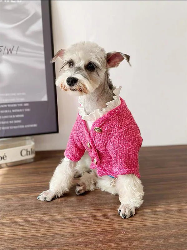 Warm Stylish Dog Winter Jacket