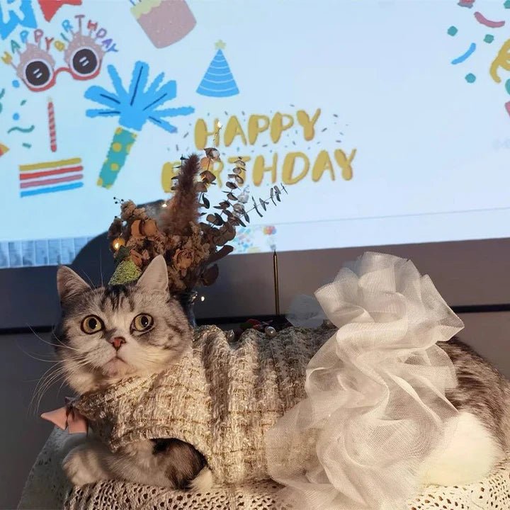 Pearl Embellished Luxury Dog Dress