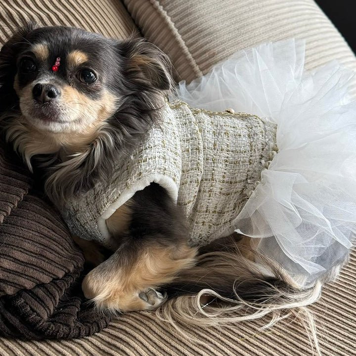 Pearl Embellished Luxury Dog Dress