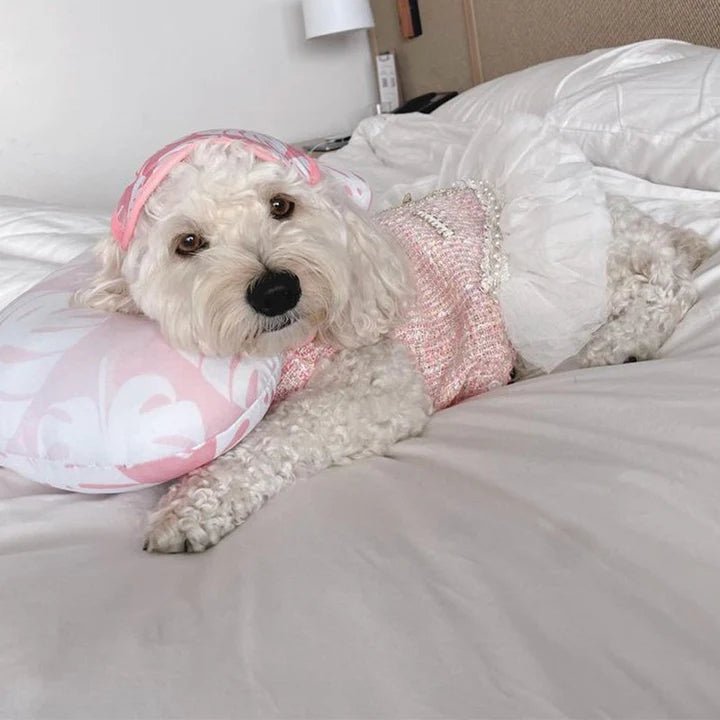 Pearl Embellished Luxury Dog Dress