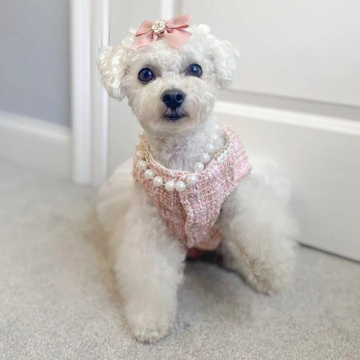 Pearl Embellished Luxury Dog Dress