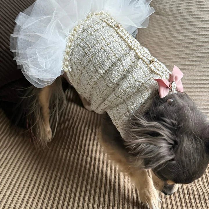 Pearl Embellished Luxury Dog Dress