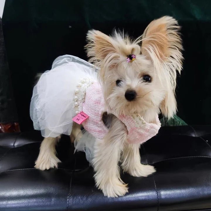 Pearl Embellished Luxury Dog Dress