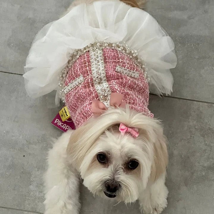 Pearl Embellished Luxury Dog Dress