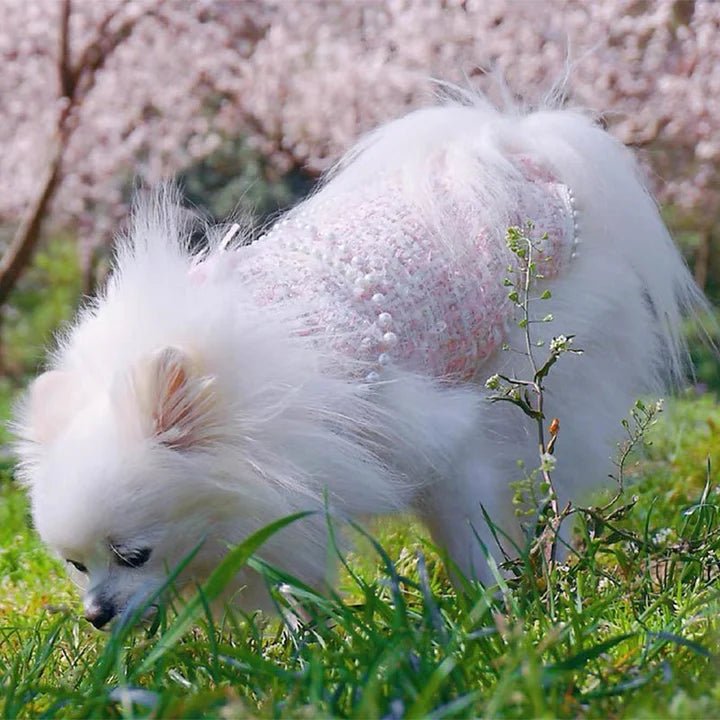 Pearl Embellished Luxury Cat Dress