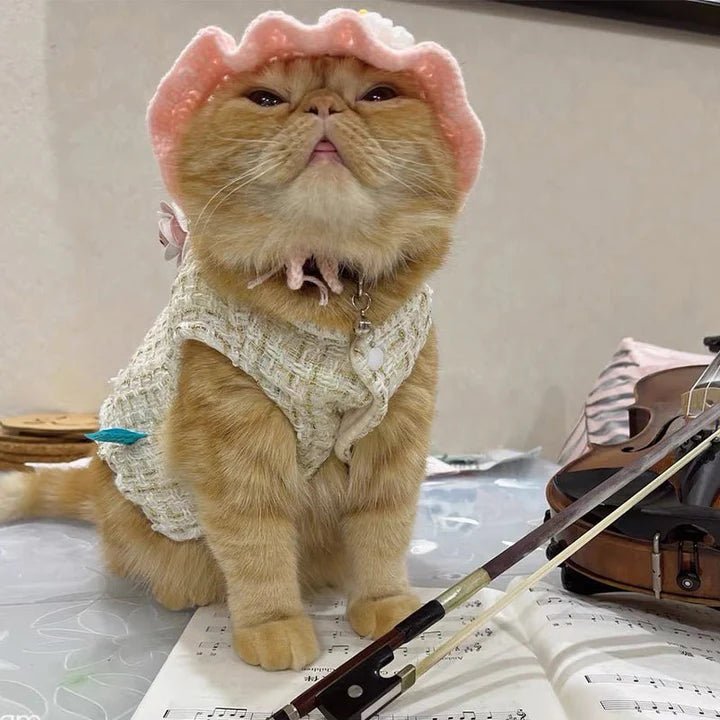 Luxury Cotton Lined Dog Vest Jacket