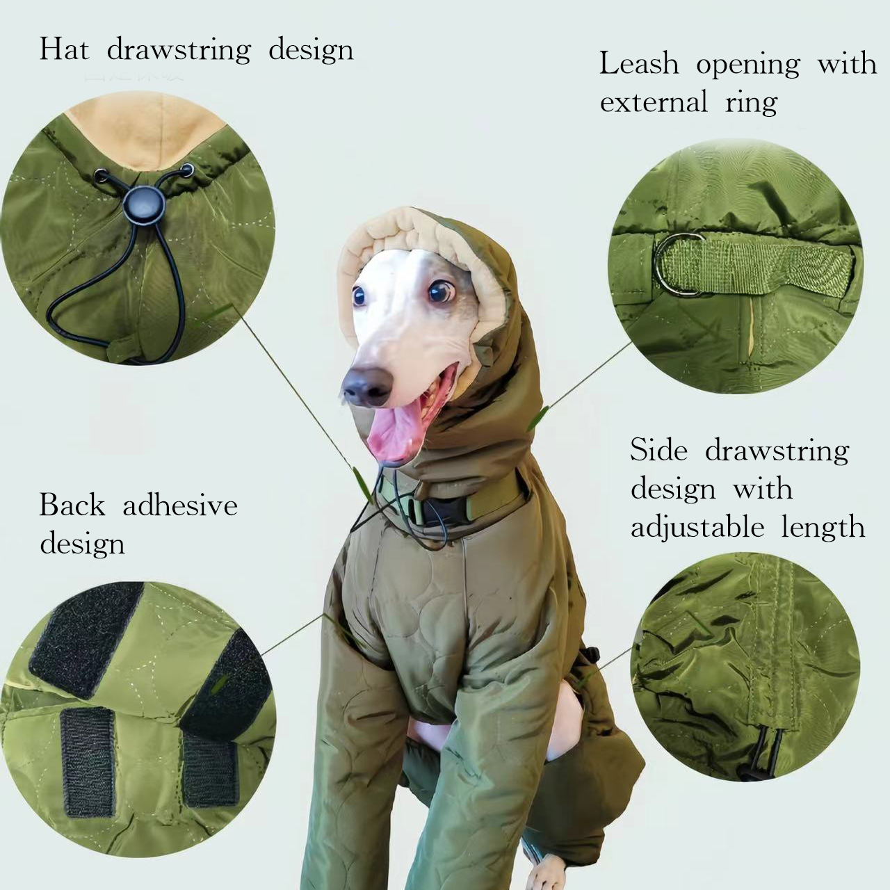 Warm Padded Italian Greyhound Coat