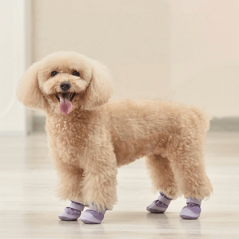 Anti Slip Warm Dog Boots