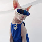 Futuristic Pet Astronaut Sunglasses