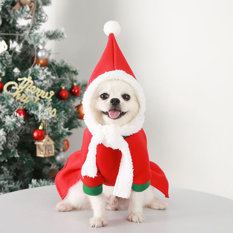 Festive Christmas Dog Hoodie Outfit