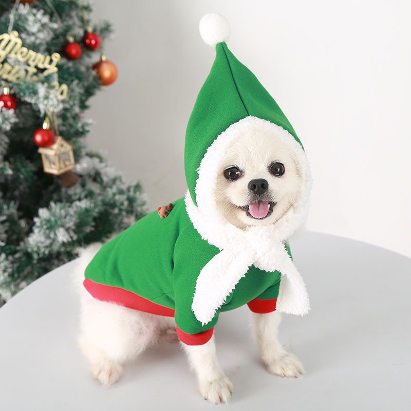Festive Christmas Dog Hoodie Outfit