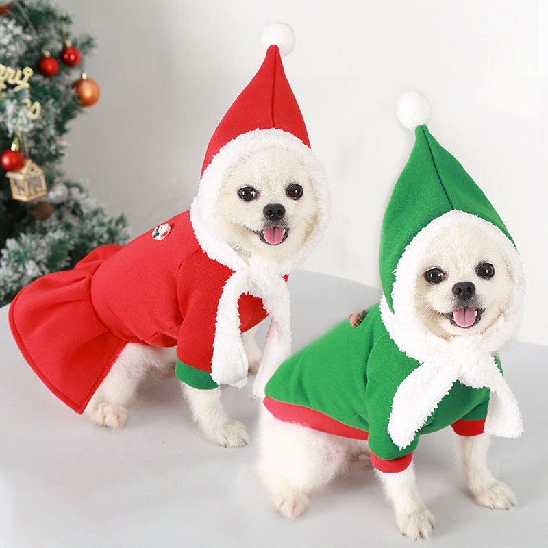 Festive Christmas Dog Hoodie Outfit